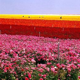 《星空》全球解锁时间公布 豪华版9月1日上午8点开玩