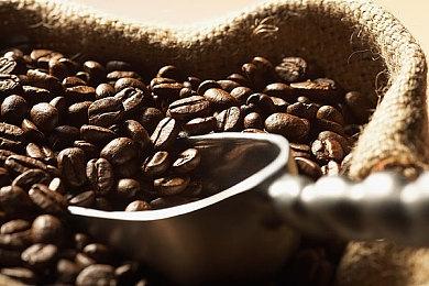 《光环：无限》发售日确认 限定版XSX主机和精英手柄公布