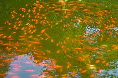 《GT赛车》系列25周年 累计销量超过9000万套